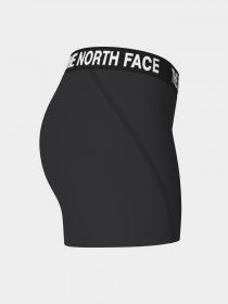 Шорты спортивные The North Face Training модель NF0A824NJK31 Фото