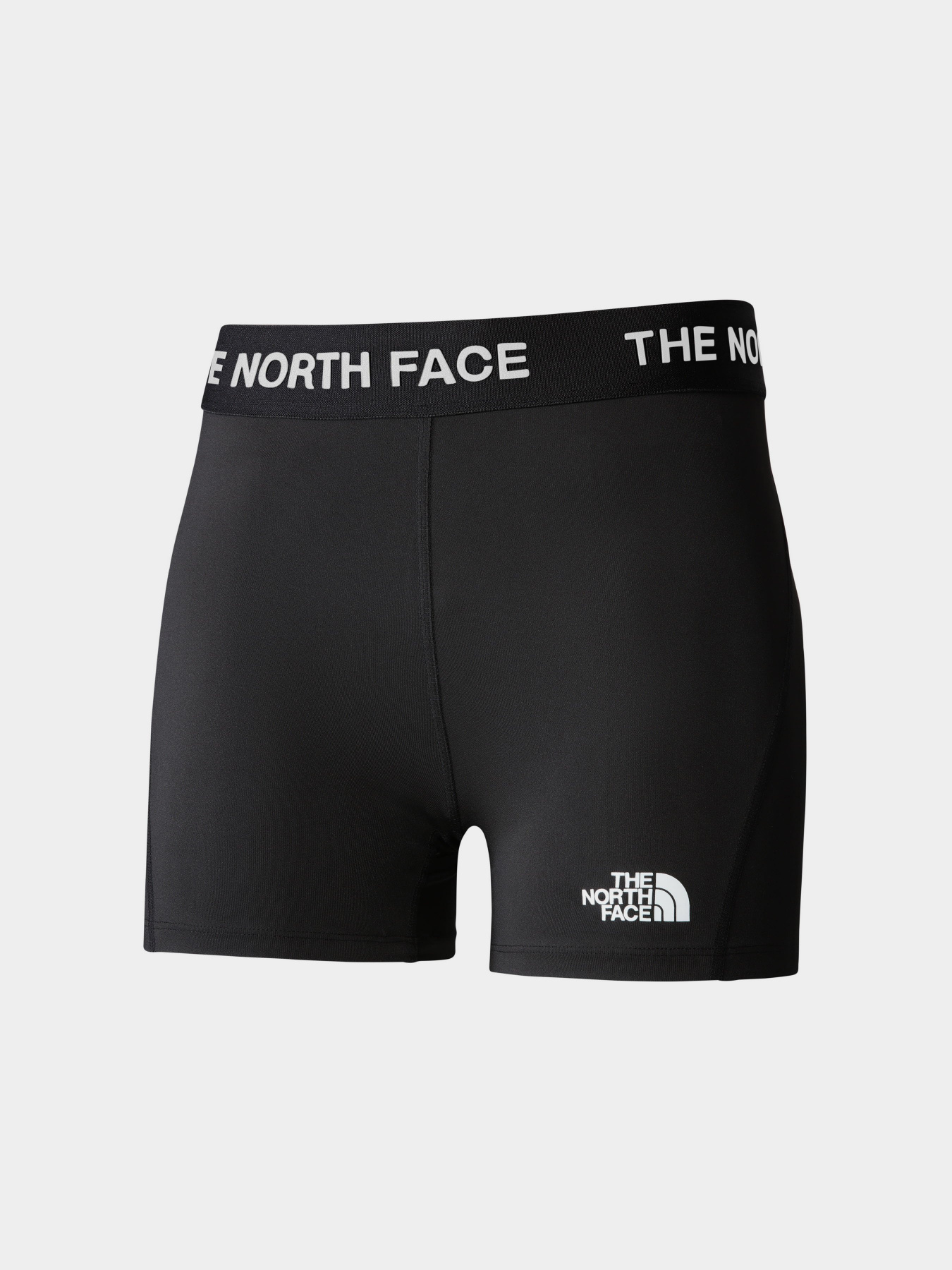 Спортивні шорти The North Face Training модель NF0A824NJK31 Фото