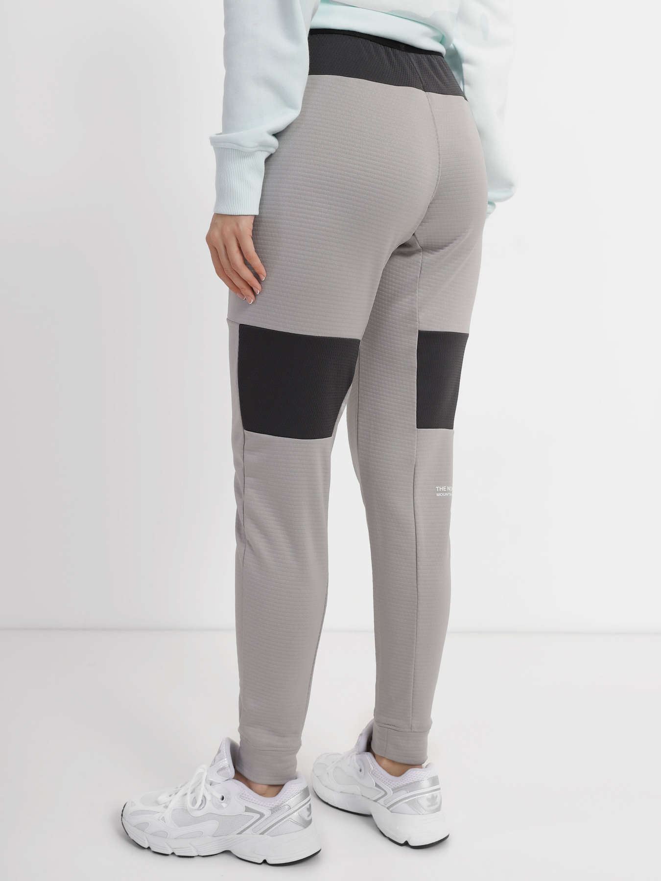 Штаны спортивные The North Face Mountain Athletics модель NF0A824RTDN1 Фото