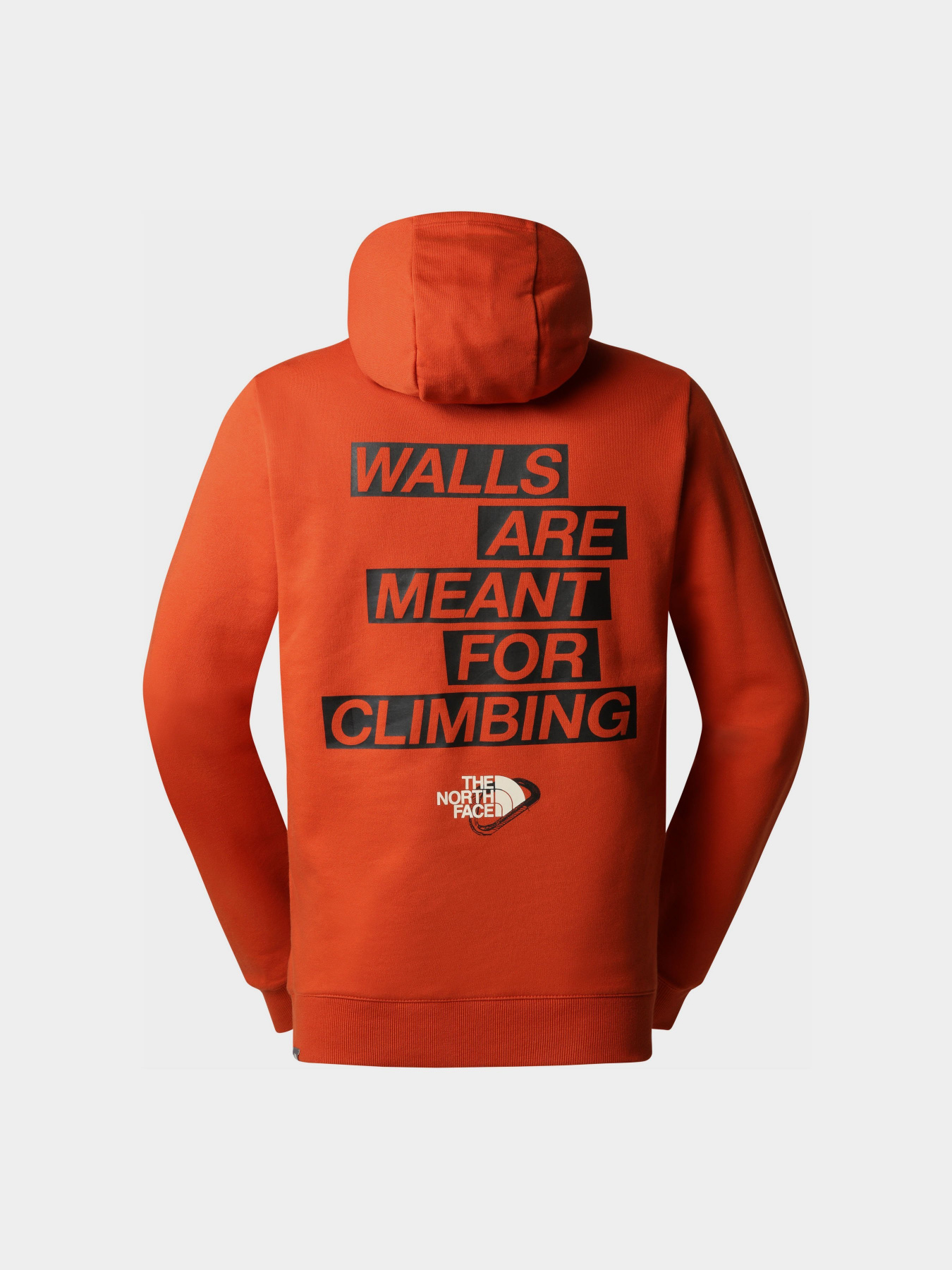 Худі The North Face Outdoor Light Graphic модель NF0A827ILV41 Фото