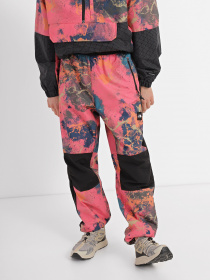 Штаны спортивные The North Face Convin Allover Printed модель NF0A83JOIOC1 Фото