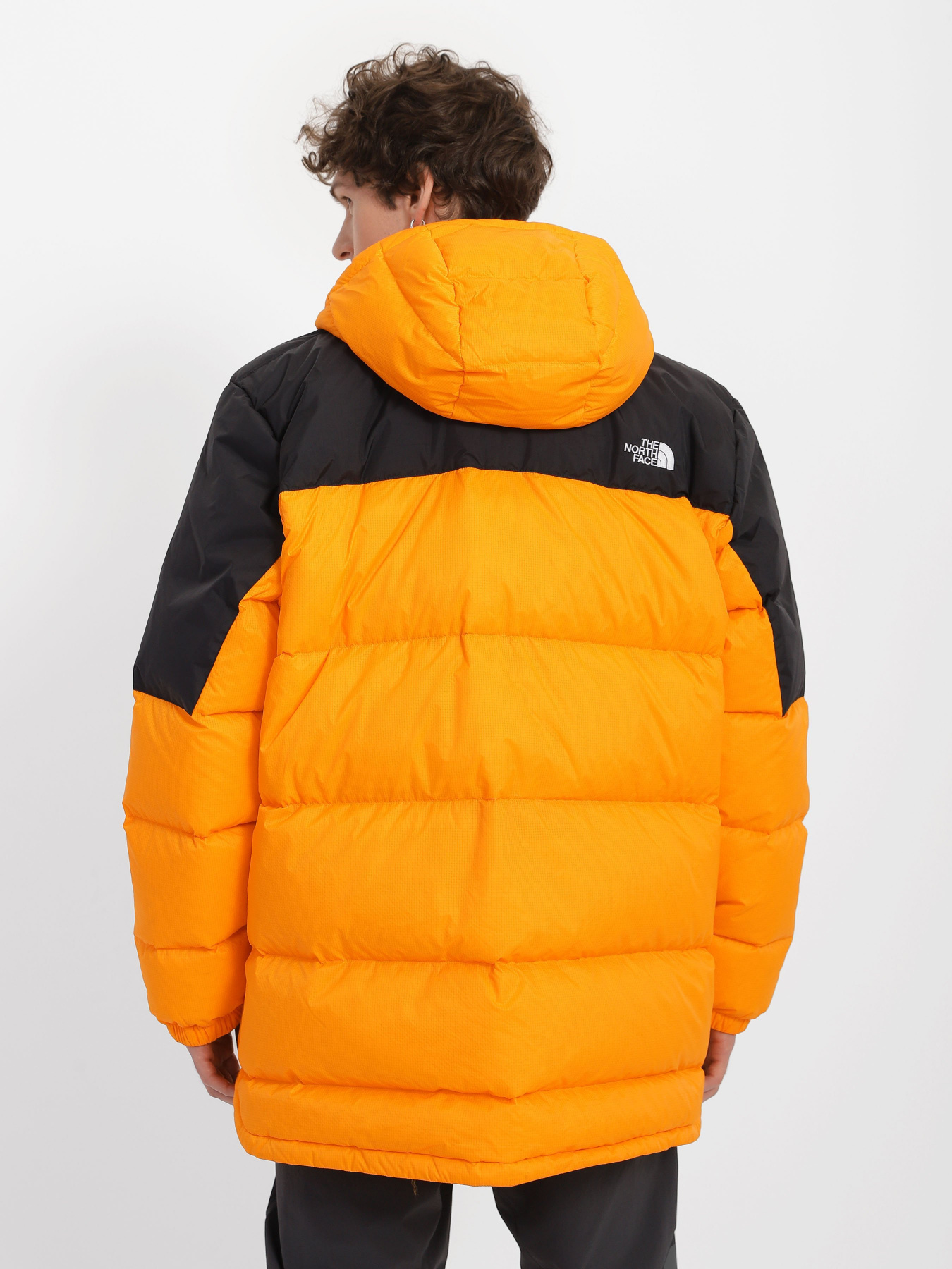 Зимова куртка The North Face Diablo модель NF0A4M9L7Q61 Фото