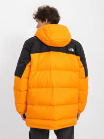 Зимова куртка The North Face Diablo модель NF0A4M9L7Q61 Фото