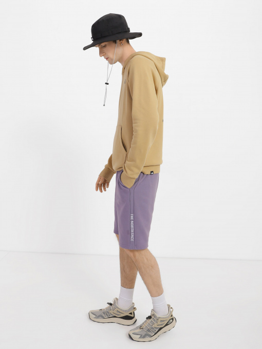 Шорты спортивные The North Face Zumu модель NF0A7SXFN141 Фото