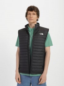 Утепленный жилет The North Face Belleview модель NF0A7UJJJK31 Фото