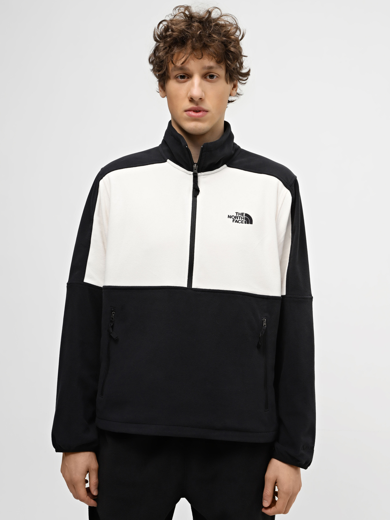 Кофта The North Face Polartec® 100 модель NF0A7ZXVQ4C1 Фото