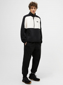 Кофта The North Face Polartec® 100 модель NF0A7ZXVQ4C1 Фото