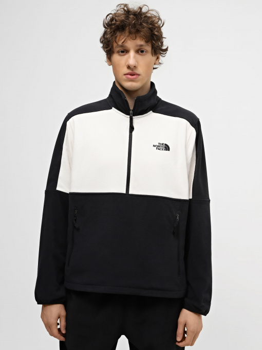Кофта The North Face Polartec® 100 модель NF0A7ZXVQ4C1 Фото