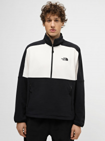 Кофта The North Face Polartec® 100 модель NF0A7ZXVQ4C1 Фото