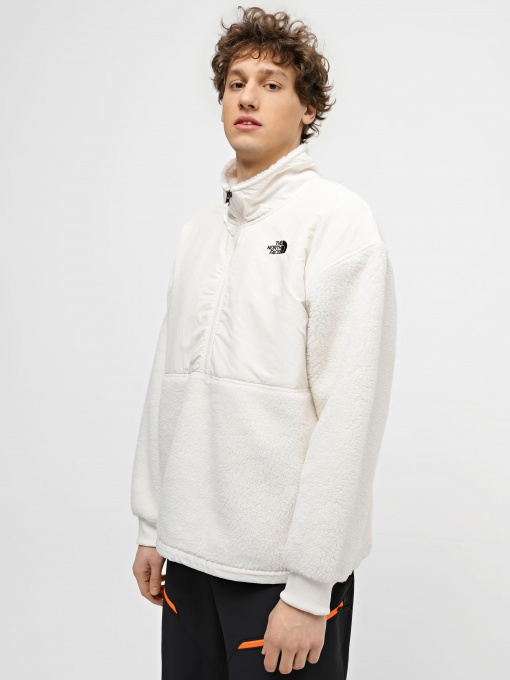 Кофта The North Face High Pile Fleece модель NF0A5GFJN3N1 Фото