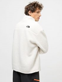 Кофта The North Face High Pile Fleece модель NF0A5GFJN3N1 Фото