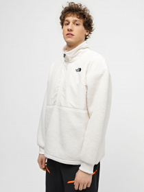Кофта The North Face High Pile Fleece модель NF0A5GFJN3N1 Фото