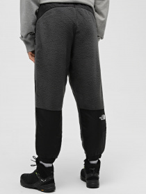 Штаны спортивные The North Face Fleeski Y2K модель NF0A852KMN81 Фото