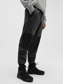 Спортивні штани The North Face Fleeski Y2K модель NF0A852KMN81 Фото