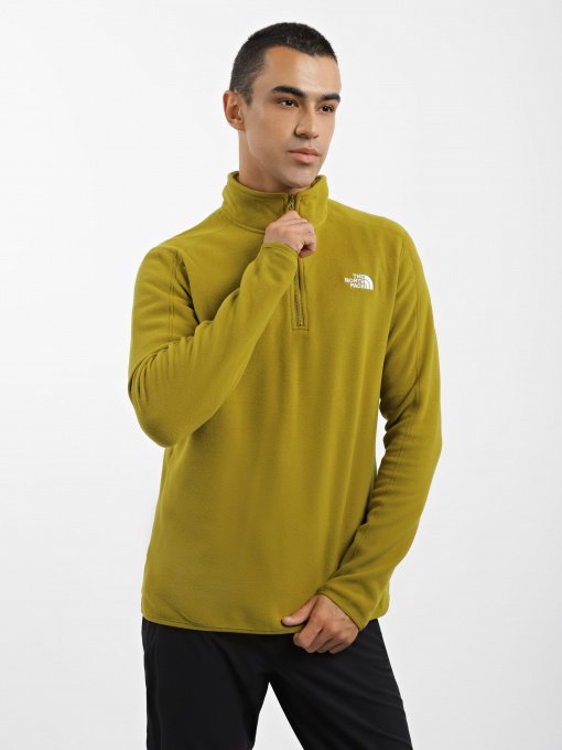 Кофта The North Face Resolve 1/4 Zip Fleece модель NF0A4M9TI0N1 Фото