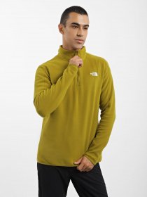 Кофта The North Face Resolve 1/4 Zip Fleece модель NF0A4M9TI0N1 Фото