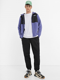 Кофта The North Face HOMESAFE FULL-ZIP FLEECE модель NF0A855JKMI1 Фото