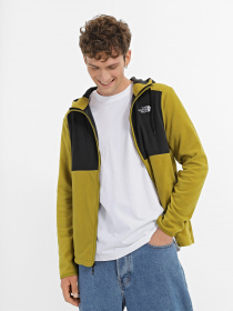 Кофта The North Face HOMESAFE FULL-ZIP FLEECE модель NF0A855JKTI1 Фото