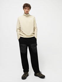 Кофта The North Face 100 GLACIER 1/4 ZIP FLEECE модель NF0A855W3X41 Фото