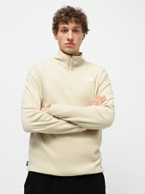Кофта The North Face 100 GLACIER 1/4 ZIP FLEECE модель NF0A855W3X41 Фото