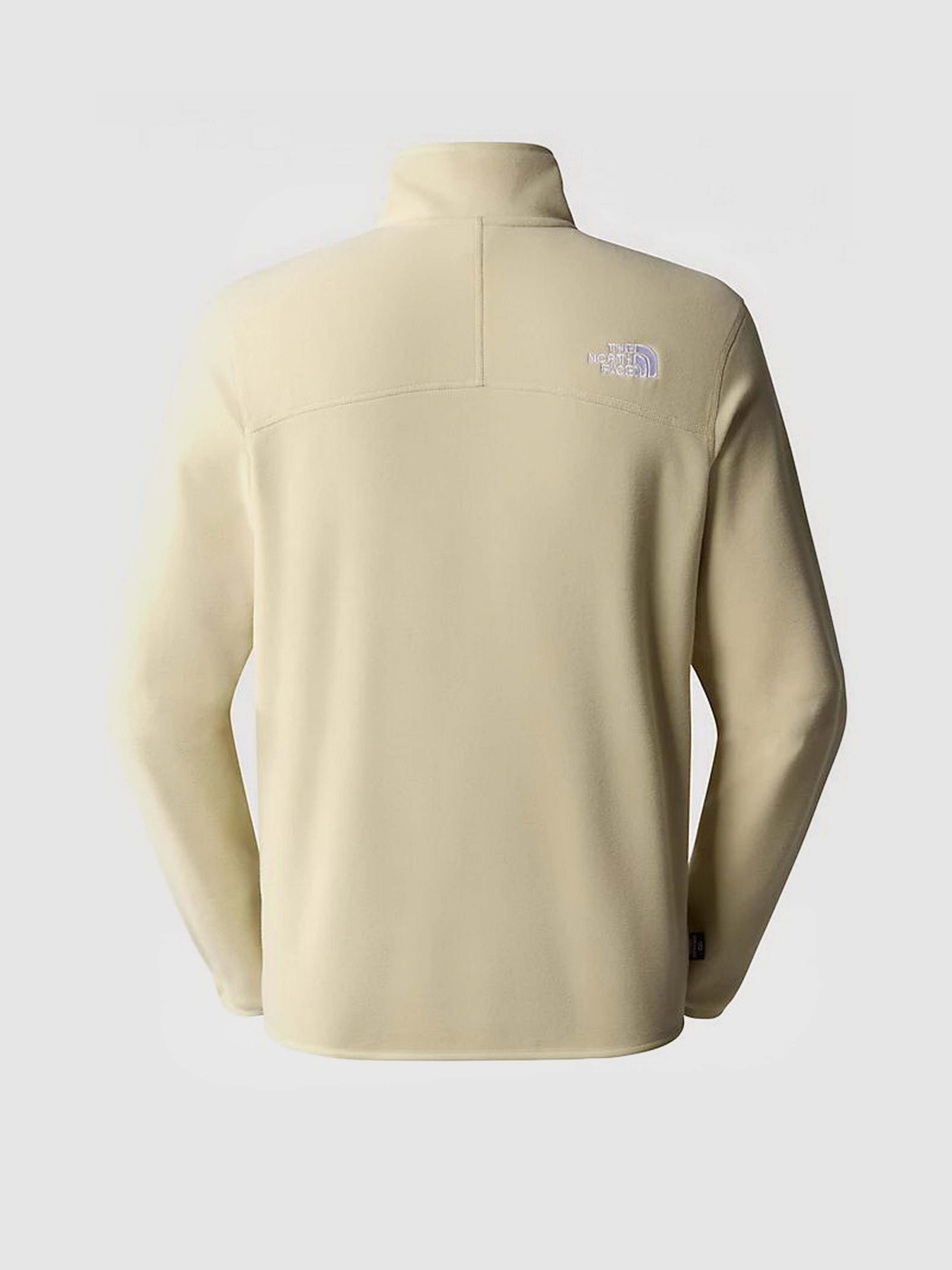 Кофта The North Face 100 GLACIER 1/4 ZIP FLEECE модель NF0A855W3X41 Фото
