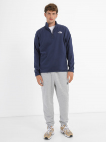 Кофта The North Face 100 Glac 1/4 Zip модель NF0A855W8K21 Фото
