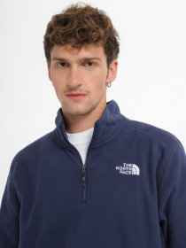 Кофта The North Face 100 Glac 1/4 Zip модель NF0A855W8K21 Фото