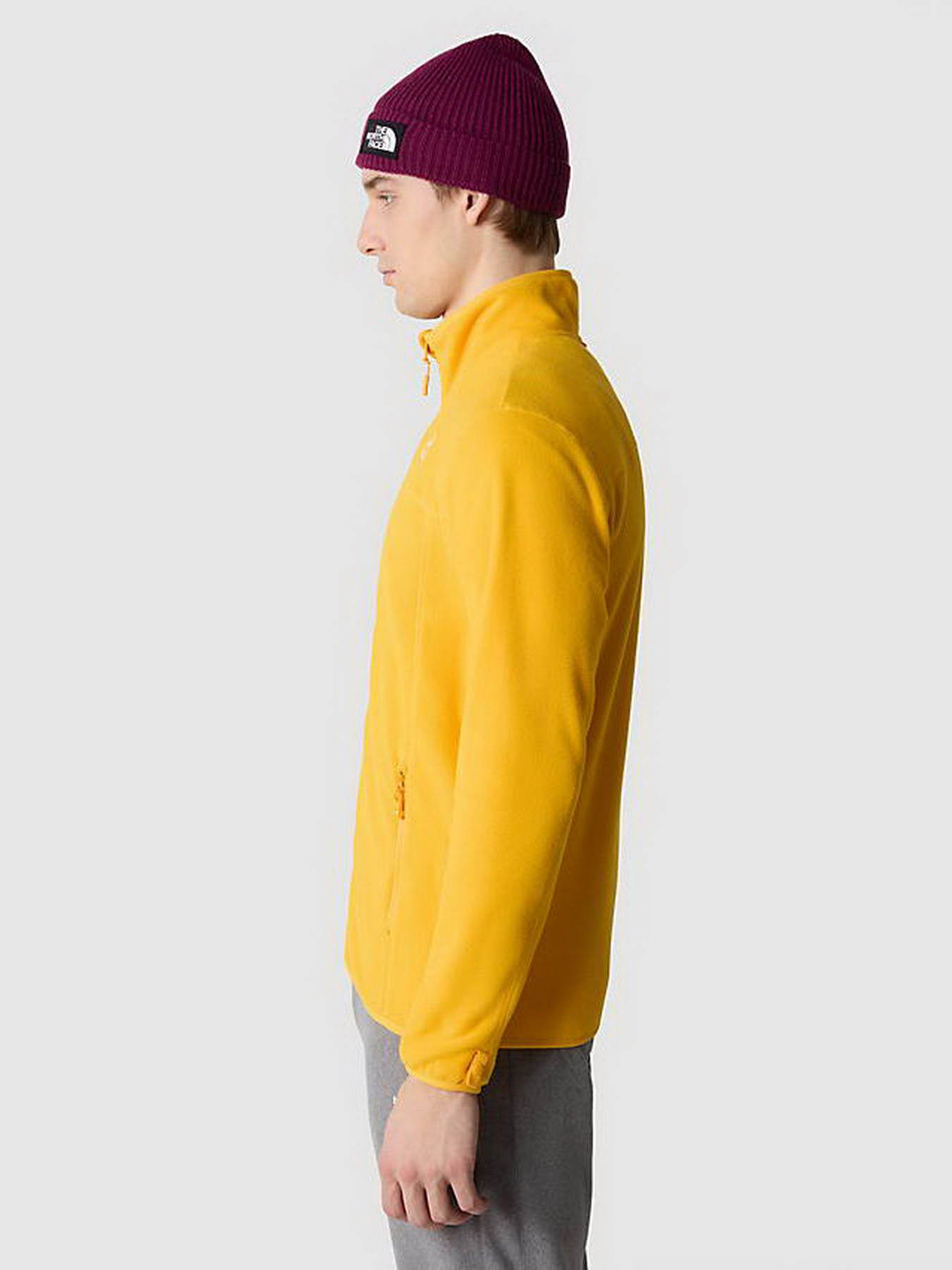 Кофта The North Face 100 Glacier Full Zip модель NF0A855X56P1 Фото