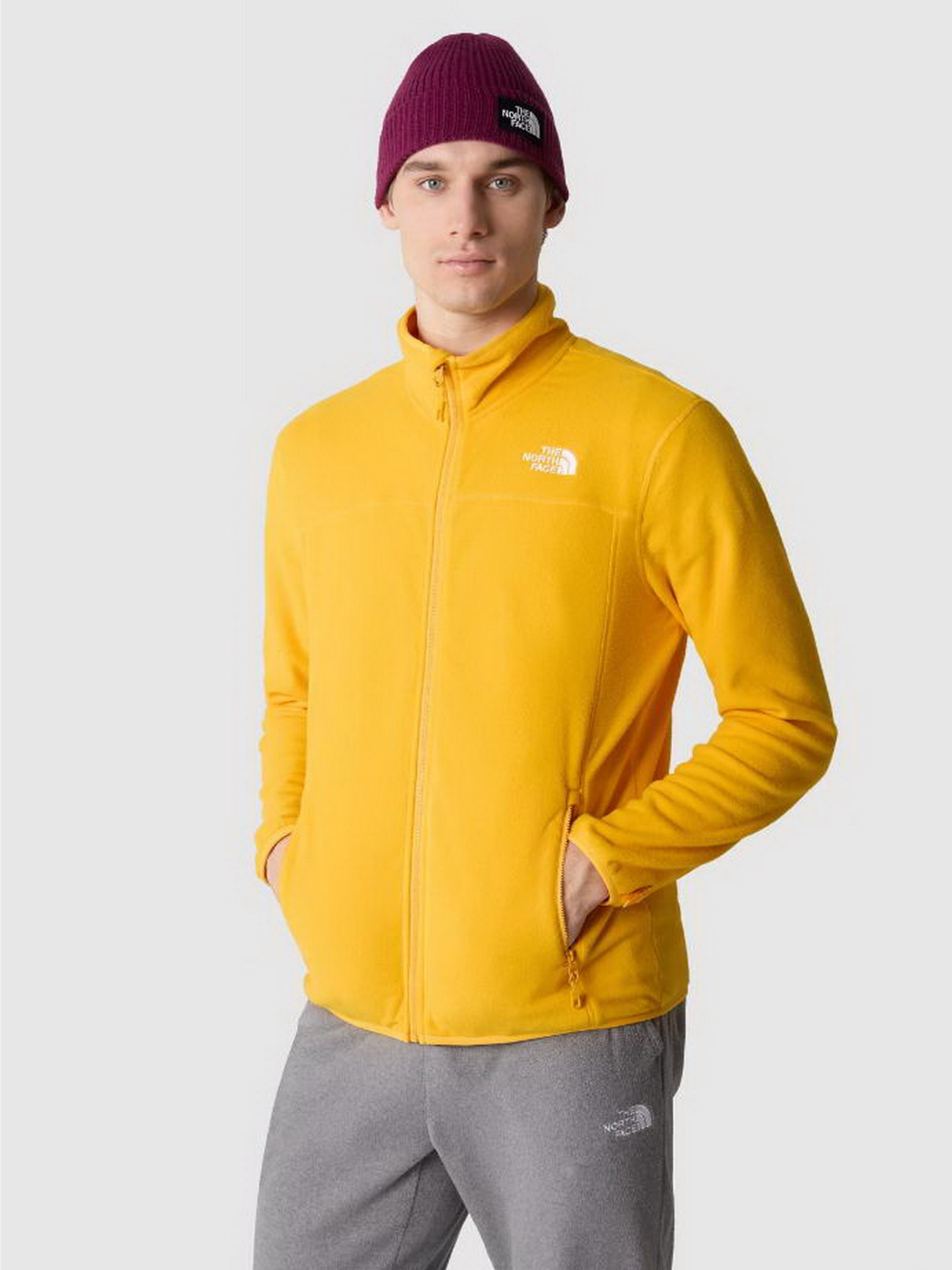 Кофта The North Face 100 Glacier Full Zip модель NF0A855X56P1 Фото