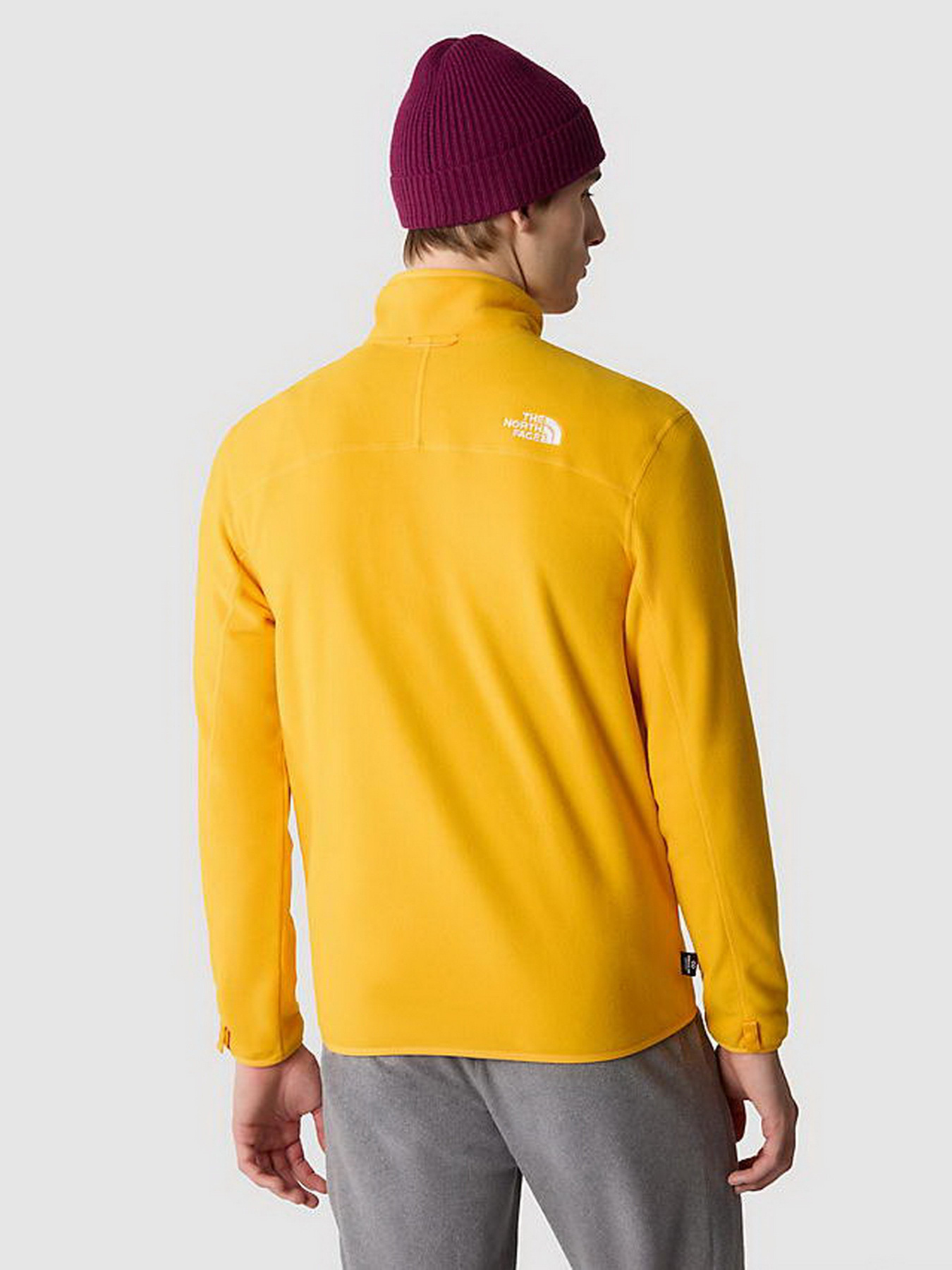 Кофта The North Face 100 Glacier Full Zip модель NF0A855X56P1 Фото