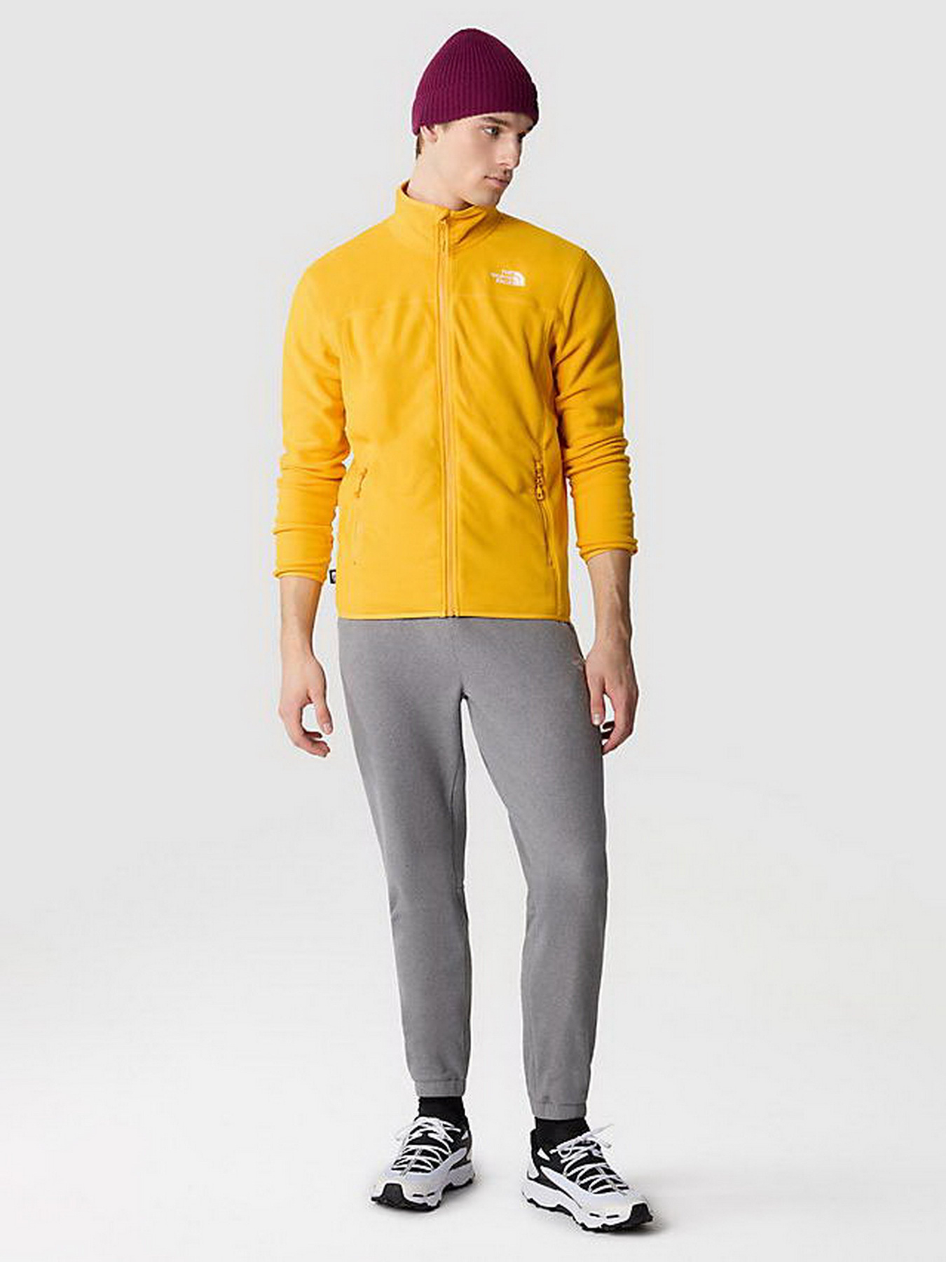 Кофта The North Face 100 Glacier Full Zip модель NF0A855X56P1 Фото