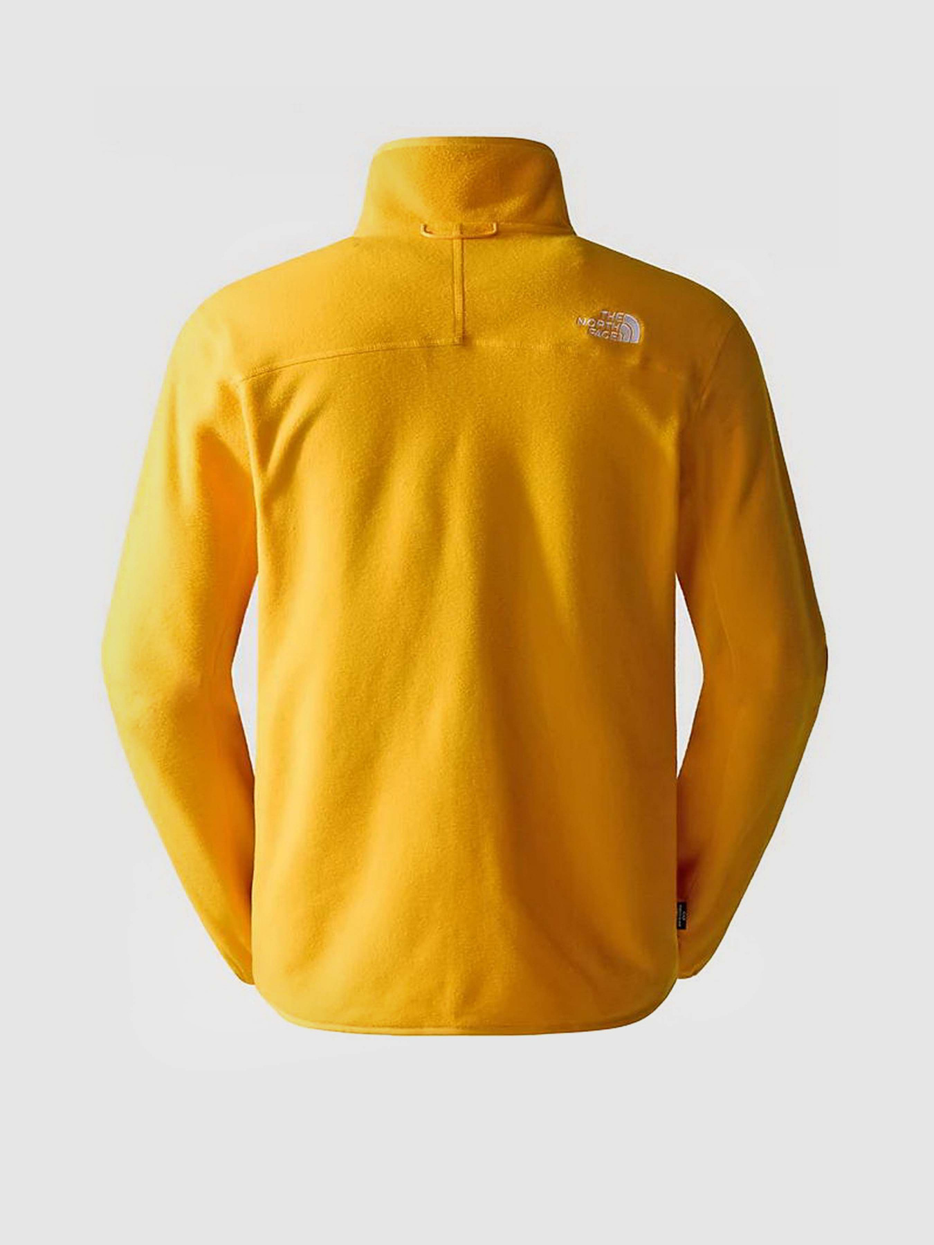 Кофта The North Face 100 Glacier Full Zip модель NF0A855X56P1 Фото