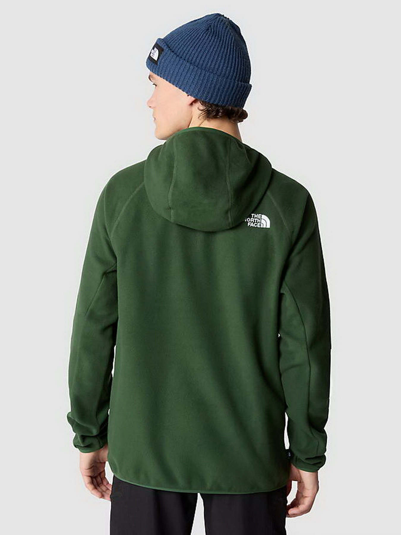 Кофта The North Face 100 GLACIER модель NF0A855ZI0P1 Фото