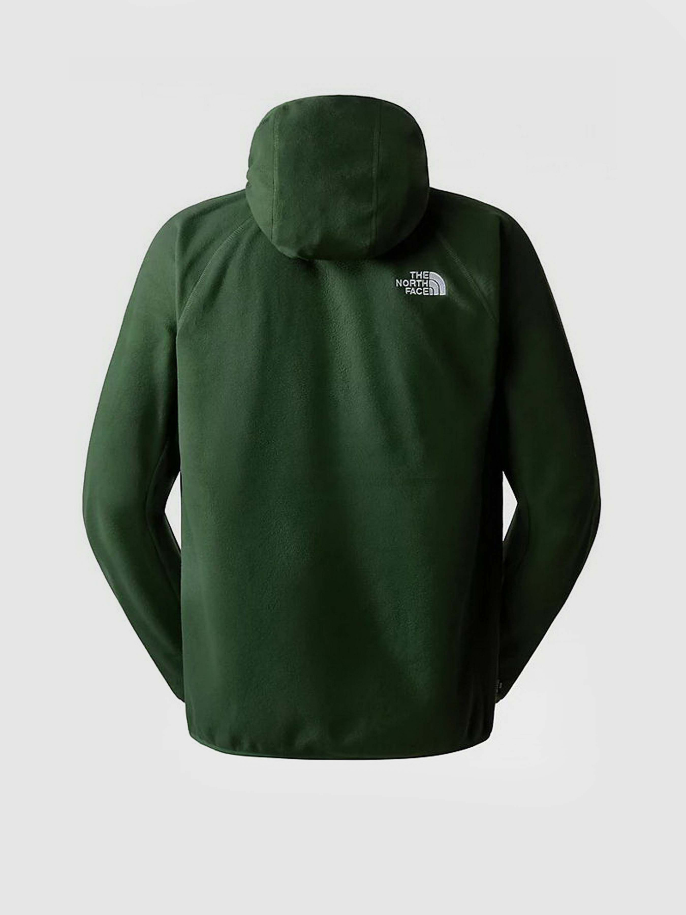 Кофта The North Face 100 GLACIER модель NF0A855ZI0P1 Фото