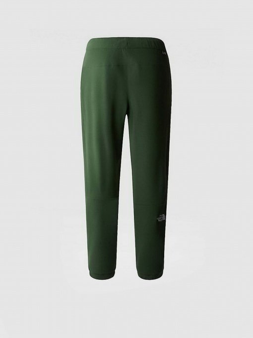 Брюки The North Face 100 Glacier модель NF0A8561I0P1 Фото