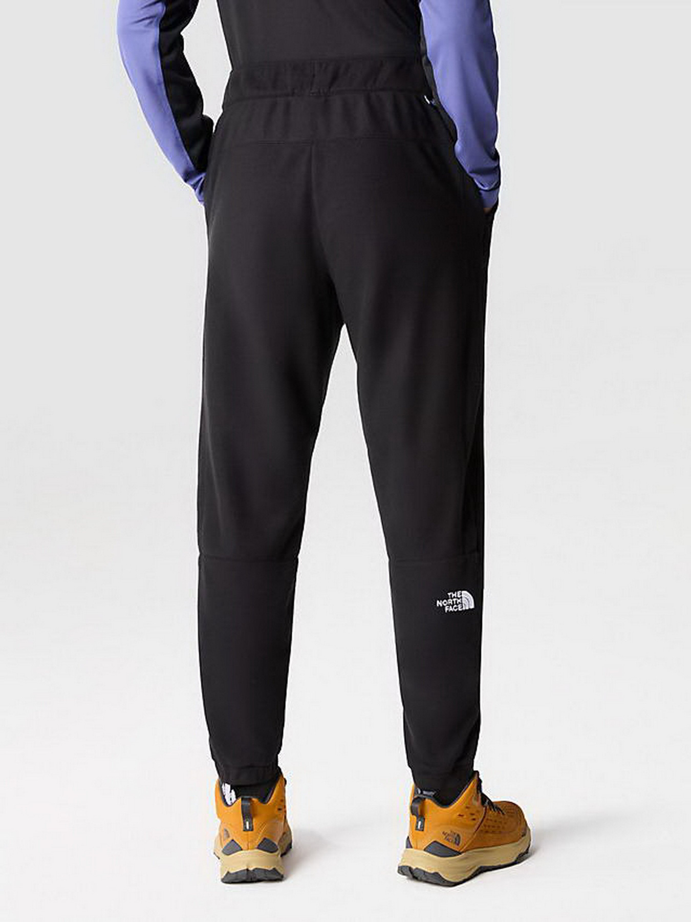 Штани спортивні The North Face 100 Glacier модель NF0A8561JK31 Фото