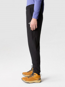 Штани спортивні The North Face 100 Glacier модель NF0A8561JK31 Фото