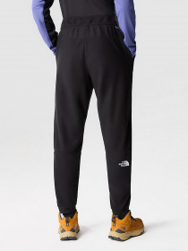 Штани спортивні The North Face 100 Glacier модель NF0A8561JK31 Фото