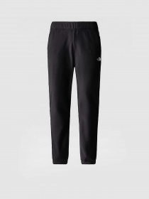 Штани спортивні The North Face 100 Glacier модель NF0A8561JK31 Фото