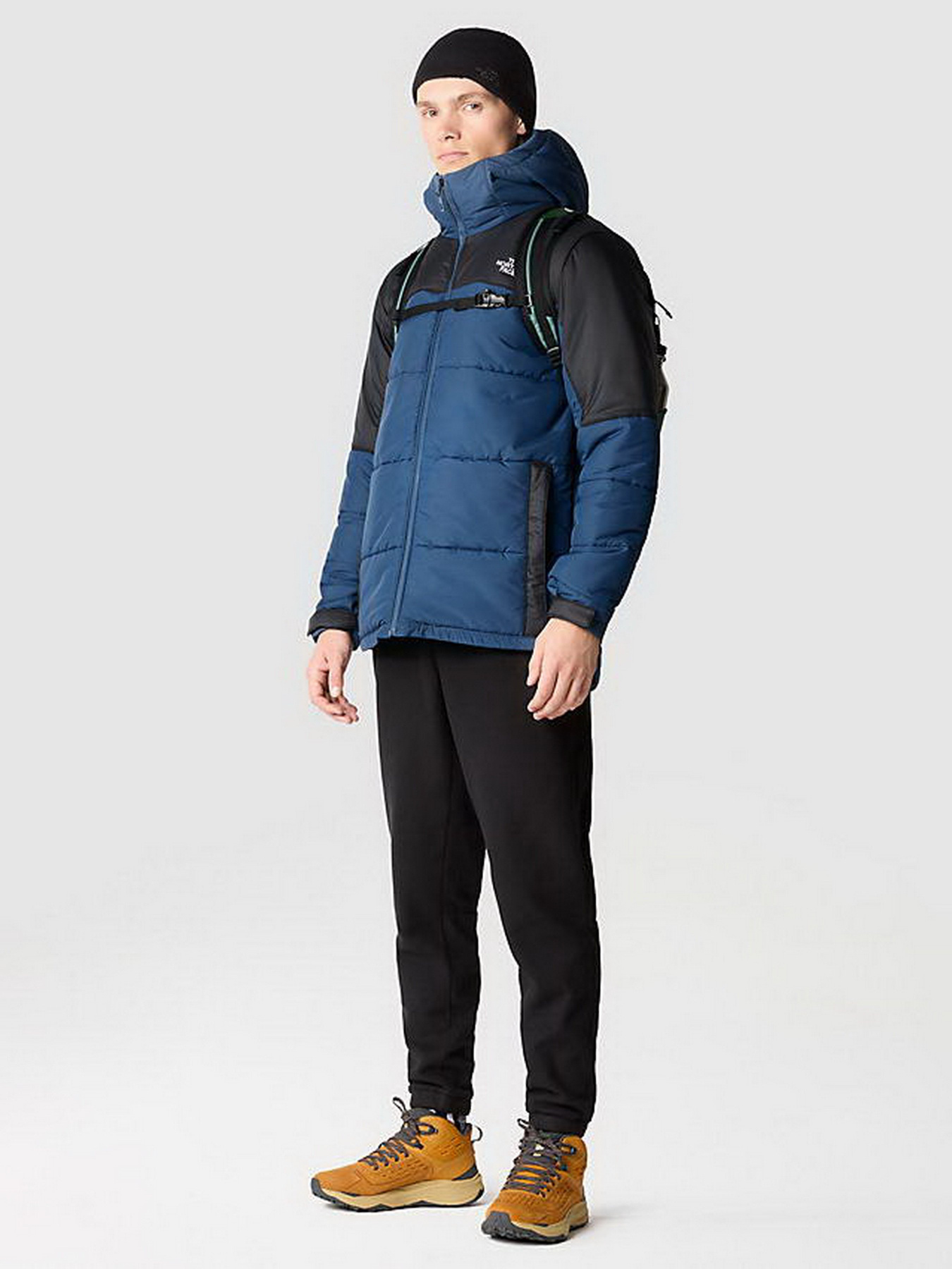 Штаны спортивные The North Face 100 Glacier модель NF0A8561JK31 Фото