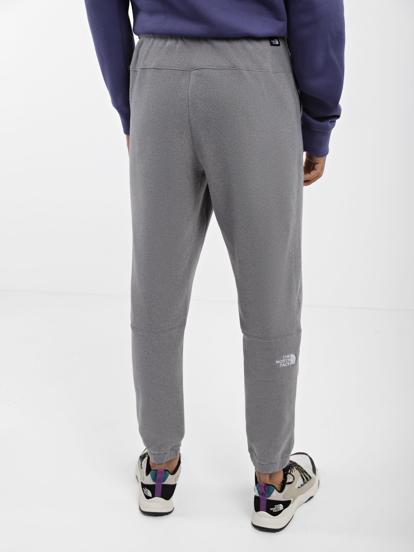 Спортивні штани The North Face 100 Glacier модель NF0A8561DYY1 Фото