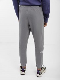 Спортивні штани The North Face 100 Glacier модель NF0A8561DYY1 Фото