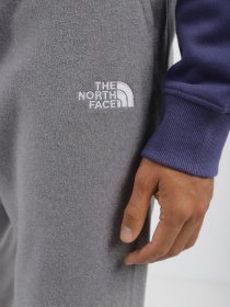 Спортивні штани The North Face 100 Glacier модель NF0A8561DYY1 Фото