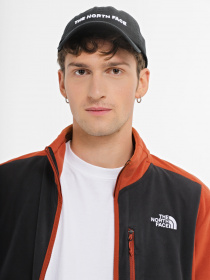 Кофта The North Face DENALI модель NF0A8563WEW1 Фото