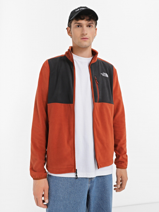 Кофта The North Face DENALI модель NF0A8563WEW1 Фото