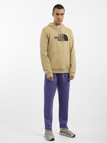 Худі The North Face Drew Peak модель NF00AHJYLK51 Фото