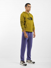 Худи The North Face Drew Peak модель NF00AHJYI0N1 Фото