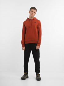 Худи The North Face Seasonal Drew Peak модель NF0A2TUVUBC1 Фото