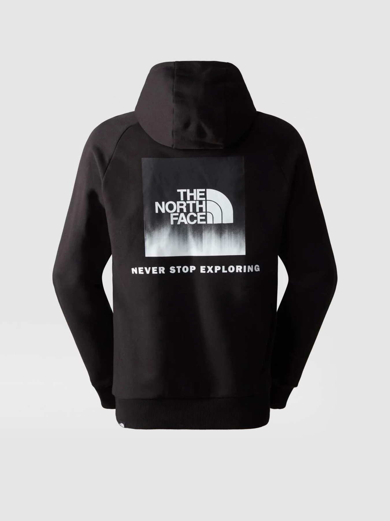 Худи The North Face Redbox модель NF0A2ZWUO4M1 Фото