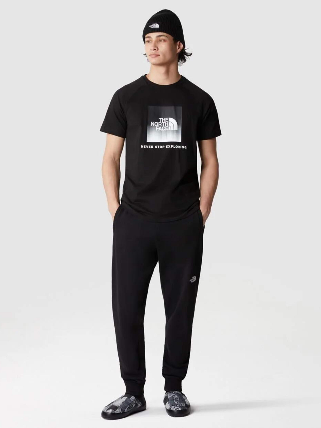 Футболка The North Face Raglan Redbox модель NF0A3BQOO4M1 Фото